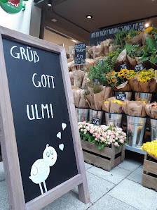 BLUME2000 Münsterplatz