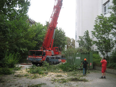 Schilling Ulmer Baumpflege & Gartengestaltung