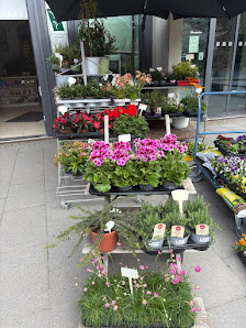 Blumenliebe am ukb