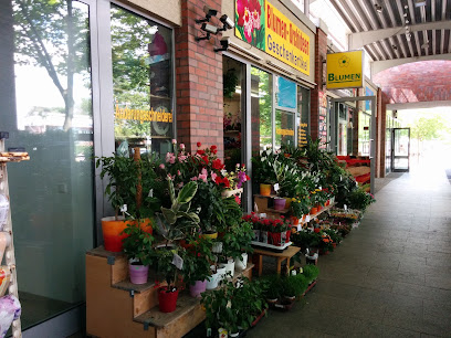 Blumen-Orchideen