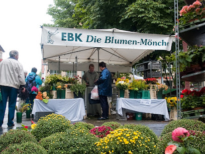 Blumenmönche direkt