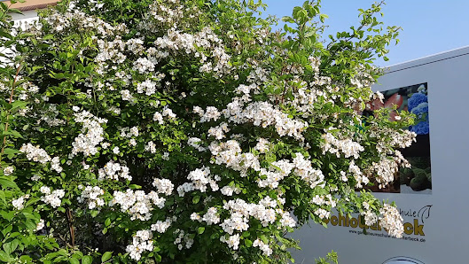 GartenBaumschule Schlotterbeck