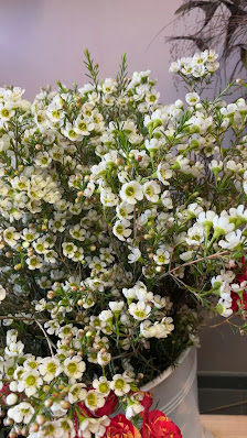 Lavi Florist Blumenladen