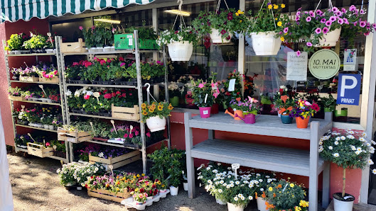Mary's Blumenboutique