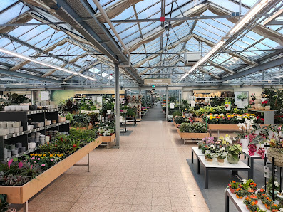 Dehner Garten-Center