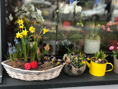 LM Blumen
