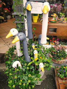 Blumenhaus CASA flora