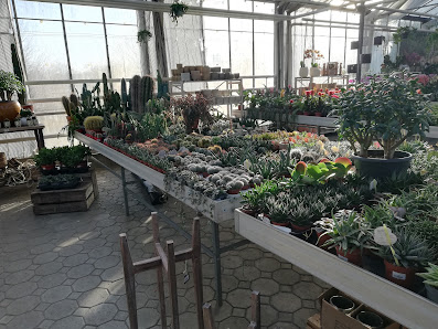 Pflanzen-Mauk Garten-Center GmbH