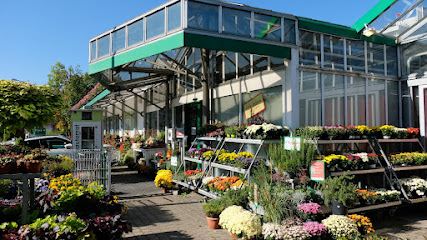 Blumen Kocher Ludwigsburg