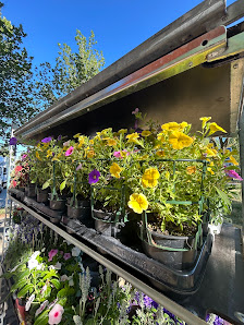 Blumenladen