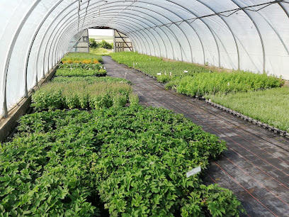 Gartenbauer