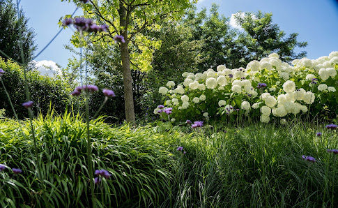 LANG Garten- und Landschaftsbau GmbH