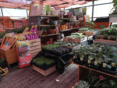 Blumen GmbH Aurenz