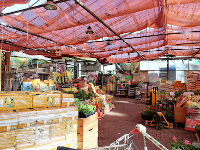 Blumen GmbH Aurenz