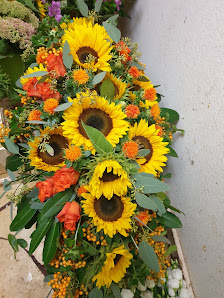 Blumen Kamm