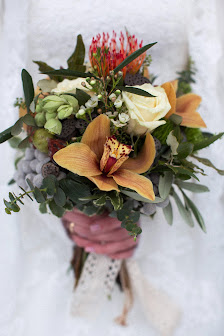 Blumen Gänseblümchen