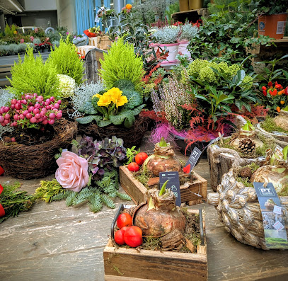 Blumen Element