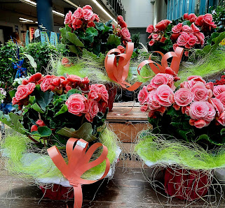 Blumen Element