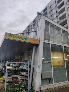 Blumen Für Dich