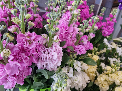 Blumen Hamm