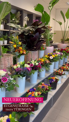 Blumen & Ambiente