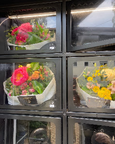 REIBOLD’s Blumenautomat