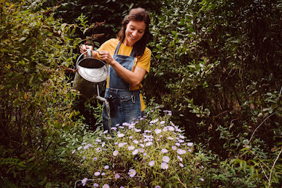 erdhummel Naturgarten