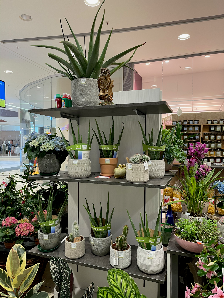 Best Taste - Blumen Pflanzen Früchte