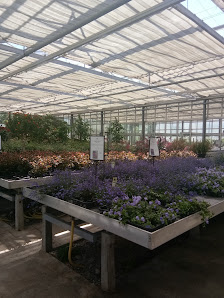 Blumenhaus Mayer