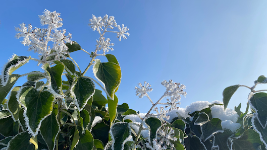 Deine Lieblingsgärtner - Garten- und Landschaftsbau aus Hennigsdorf bei Berlin