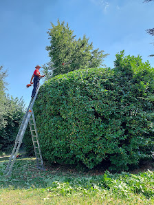 Wolf Garten- und Landschaftspflege