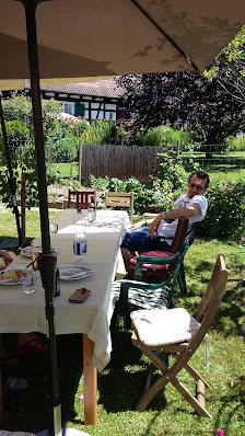Gartengestaltung und Pflege Backhaus
