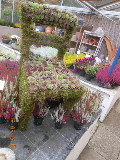 Blumen Lessle
