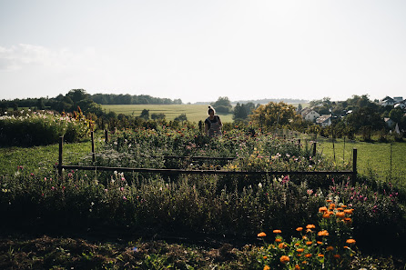 wildwuchs- kleine Blumenfarm
