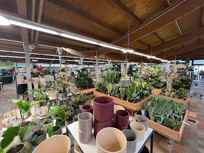 Dehner Garten-Center