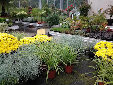 Blumeneinzelhandel Barth am Hauptfriedhof
