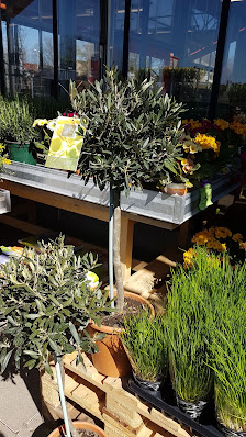 Paul Buck Obst Gemüse Blumen