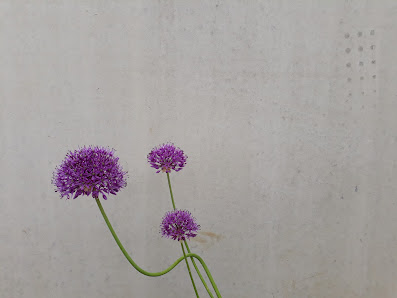 ebert garten+freiraum