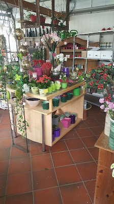 Blumen Segelbacher