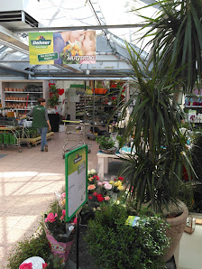 Dehner Garten-Center