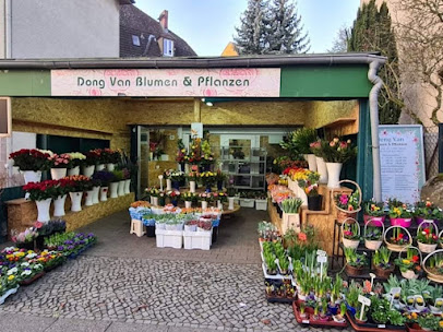 Dong Van Blumen & Pflanzen