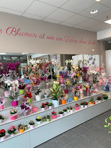 Blumen Proz… im Ekz Singen