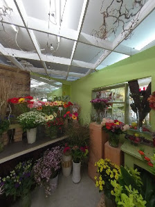 Ulis Blumen