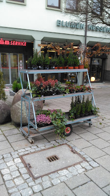 Blumen-Team Hessenauer