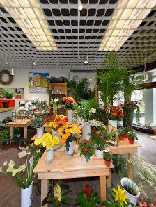 Blumen-Team Hessenauer