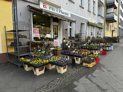 tinBlumen&Pflanzen