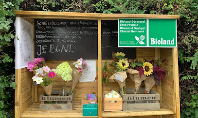 Blumendesigner