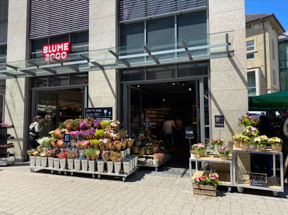 BLUME2000 Schwäbisch Hall