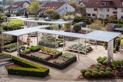 Baumschule