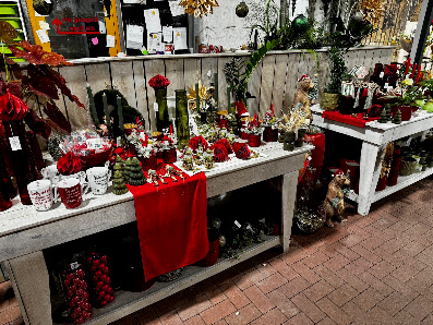 BEYERLE Blumen+Floristik